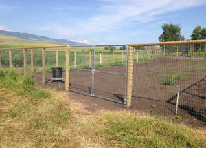 Field Fence